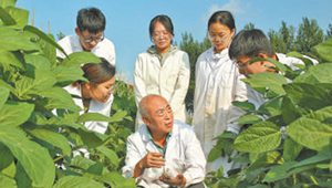 ������� ���o���ú�����